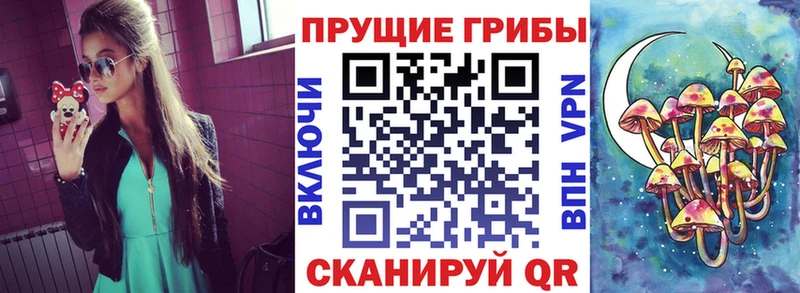 Псилоцибиновые грибы прущие грибы  закладки  Невинномысск 